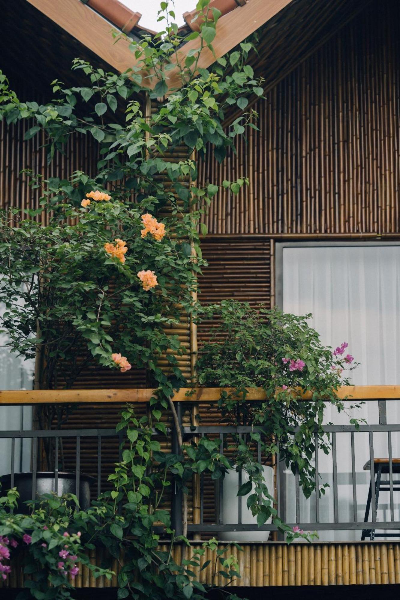 Tam Coc Windy Fields Villa Ninh Bình Ngoại thất bức ảnh