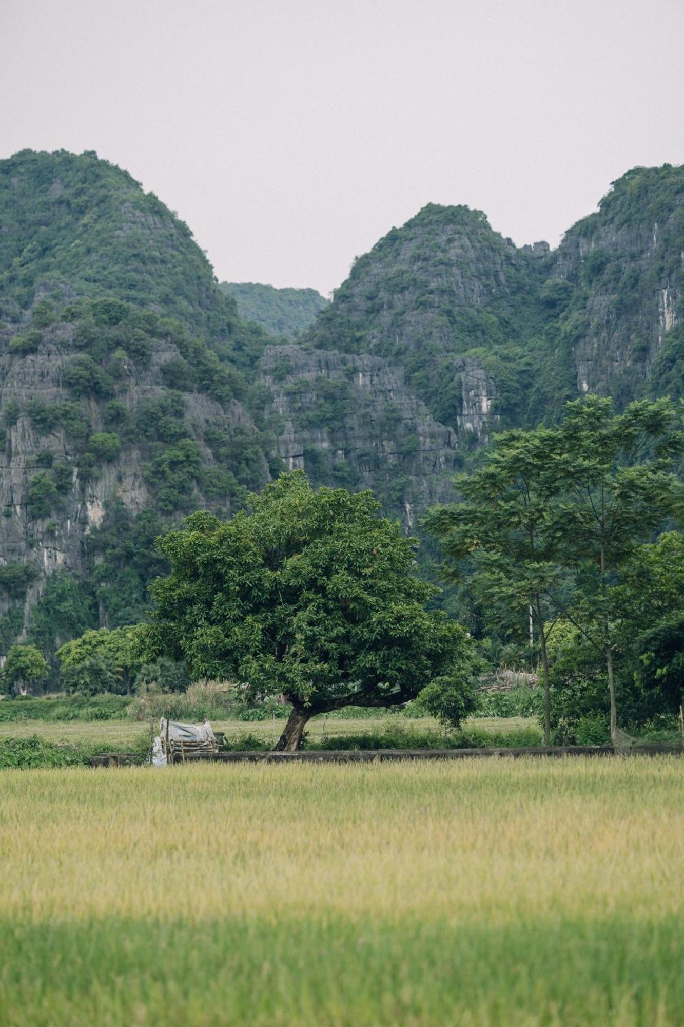 Tam Coc Windy Fields Villa Ninh Bình Ngoại thất bức ảnh